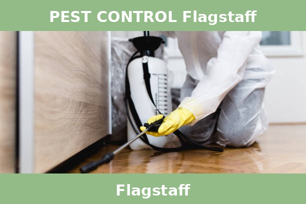 PEST CONTROL Flagstaff